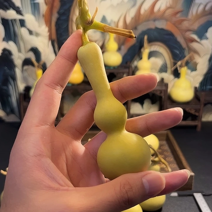 亚***修大叶紫檀（黑酸枝木类）
