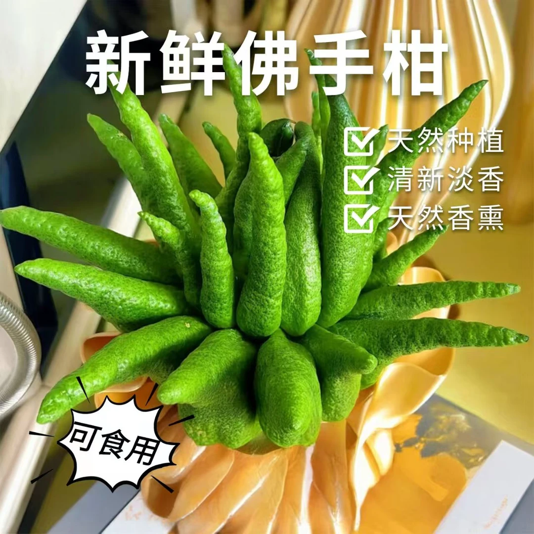 【精品佛手柑一物一拍】新鲜佛手柑观赏客厅办公室车载植物香薰6