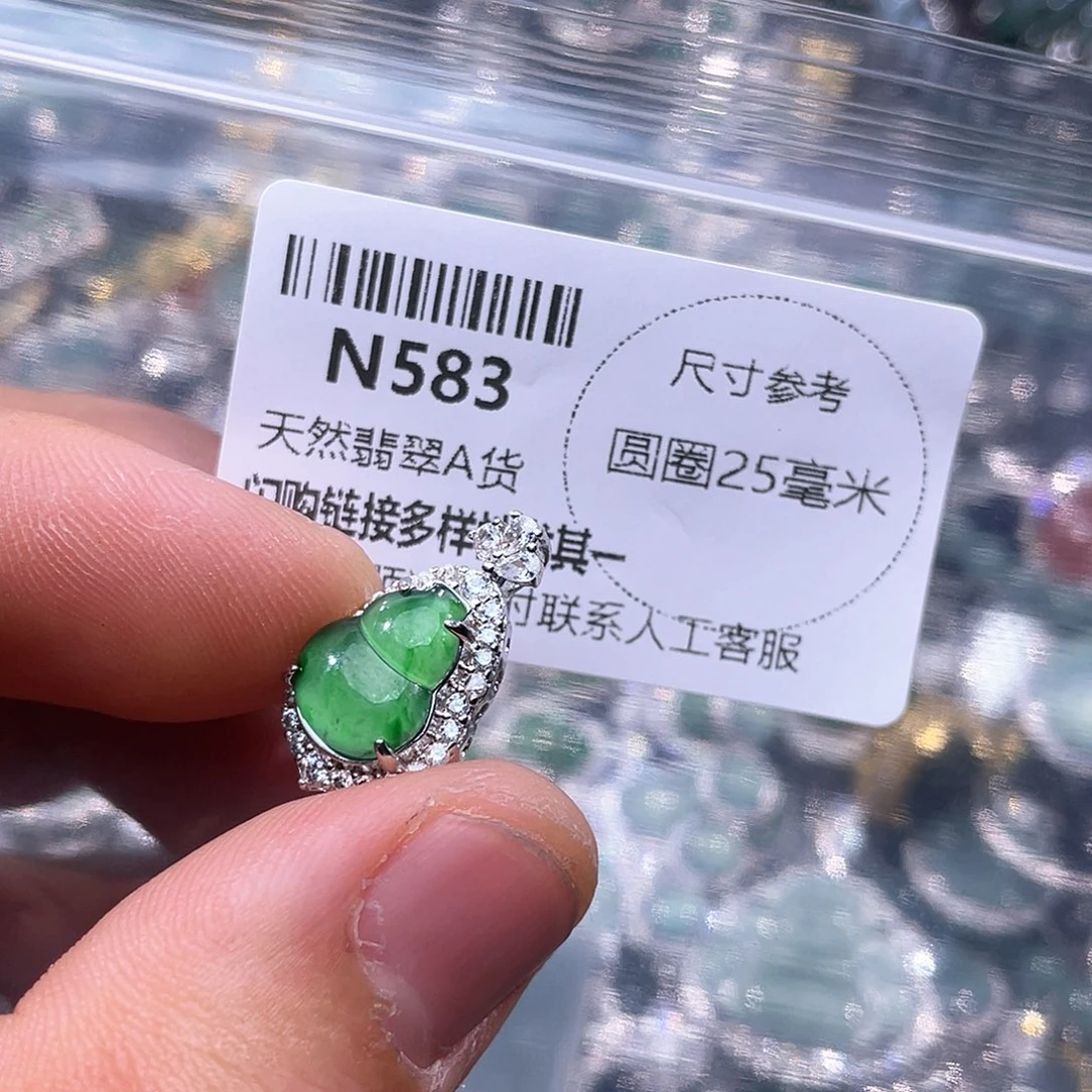 翡翠颈饰未镶嵌N5830000