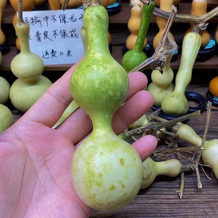 桃****风长嘴哈哈哈哈哈哈哈哈哈哈哈哈哈哈哈这