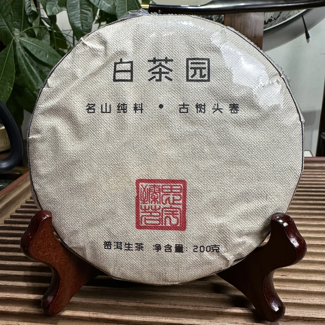 佳佳 2018年 易武弯弓白茶园核心区生茶 200g