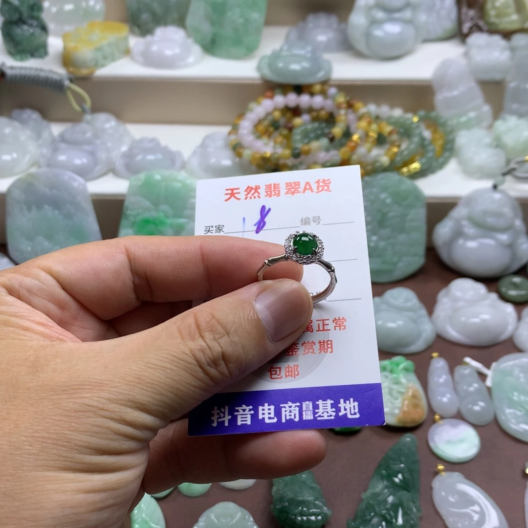 颈饰未镶嵌翡翠缅甸A货翡翠