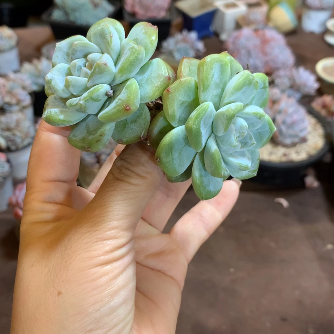 哈哈哈哈哈哈哈哈哈