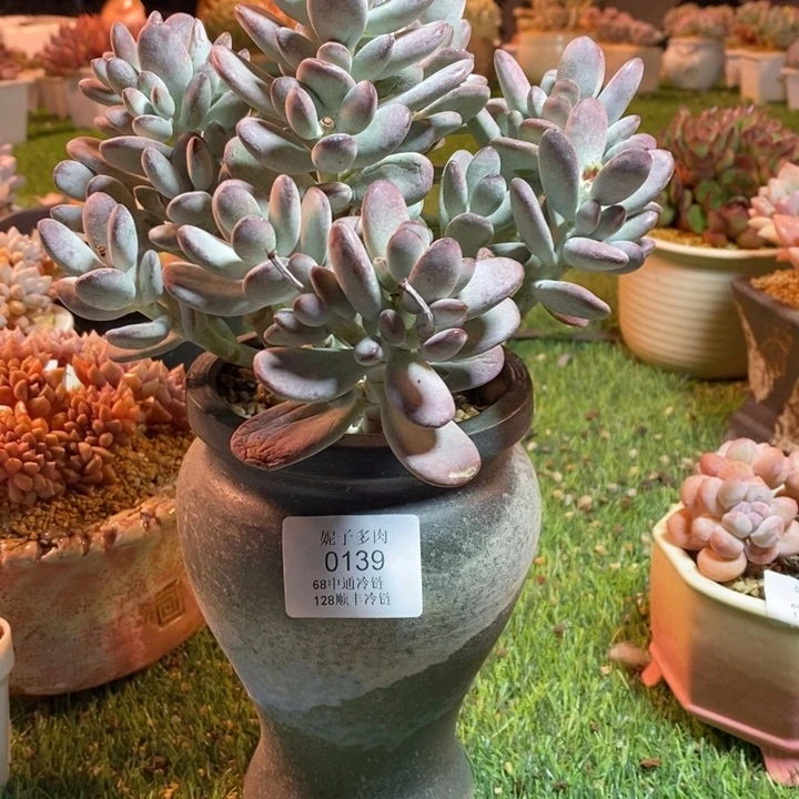 0139啊啊啊啊啊啊啊啊啊啊啊