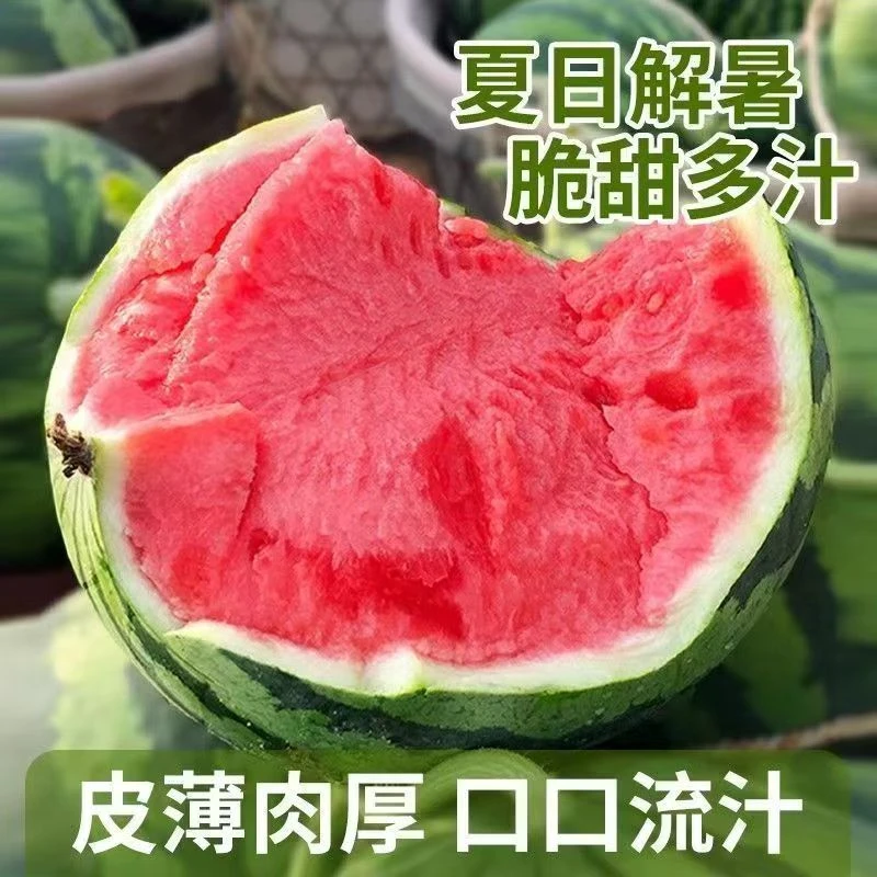 【直播专享】正宗麒麟西瓜现摘应季薄皮有籽麒麟瓜水果新鲜西瓜