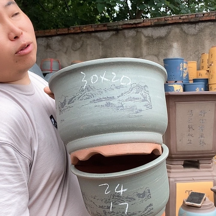 紫砂花盆盆栽观赏植物