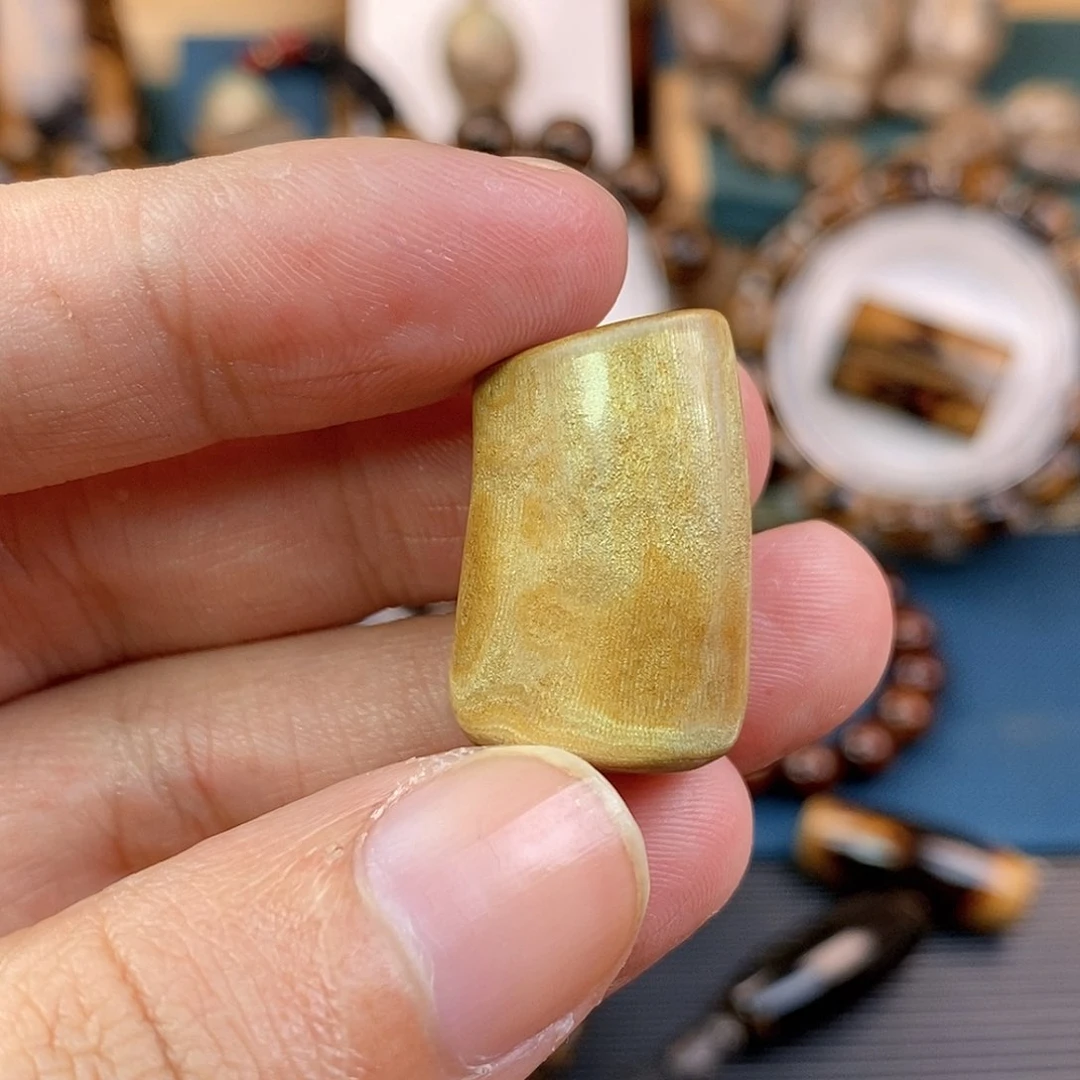 木纯天然海柳血柳金珊瑚