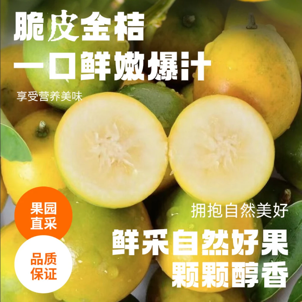 融安第二代脆皮小金桔  带箱两斤新鲜采摘蜜甜