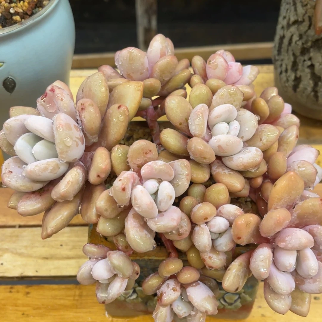 一***灰7337383838388383