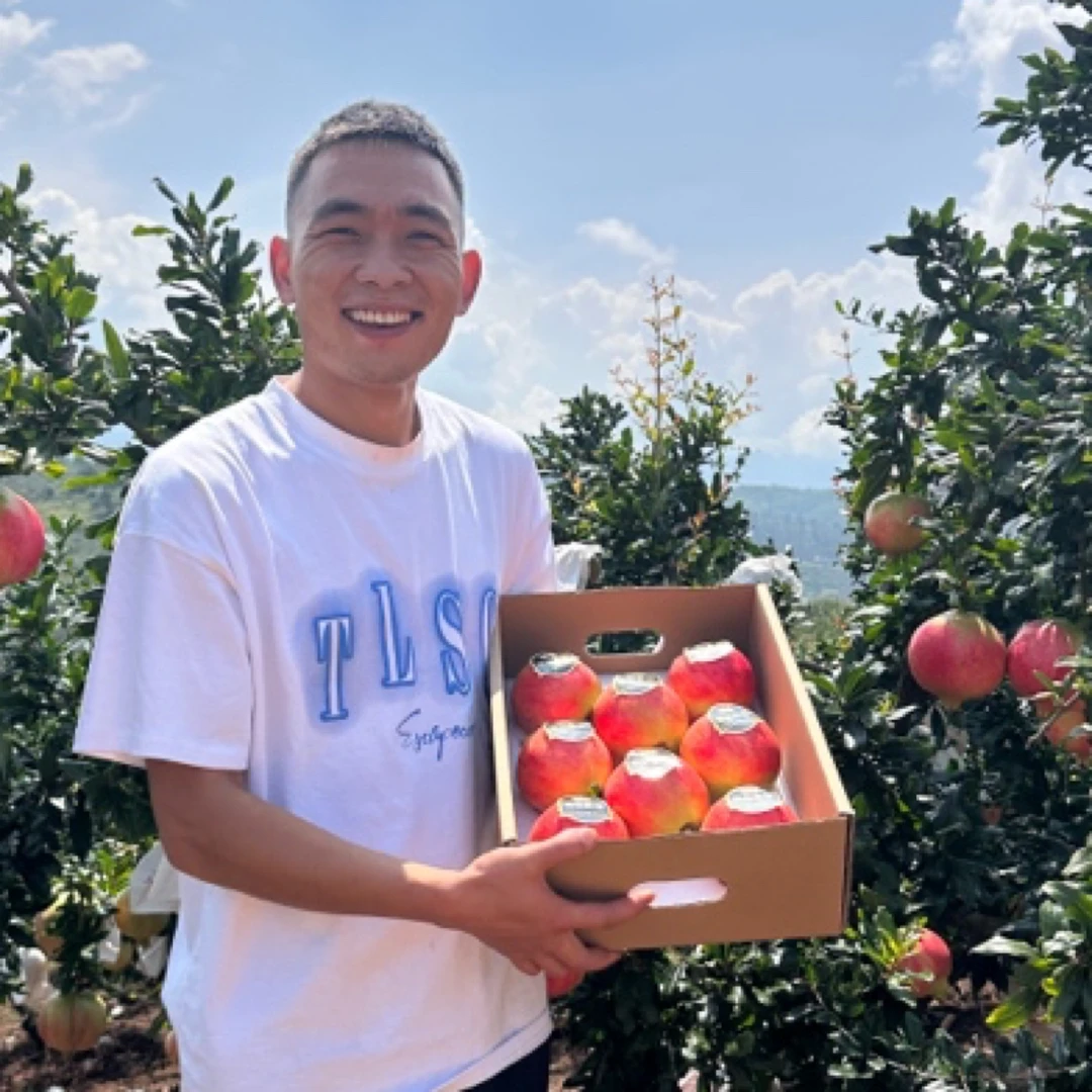 四川会理软籽甜石榴5-8斤应季新鲜孕妇水果