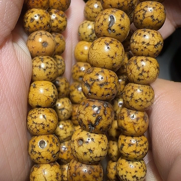 藏区老星月念珠保老