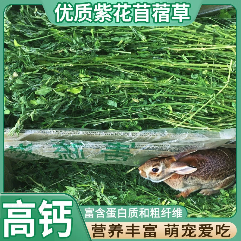 紫花烘干苜蓿草幼兔1kg/箱 最新日期