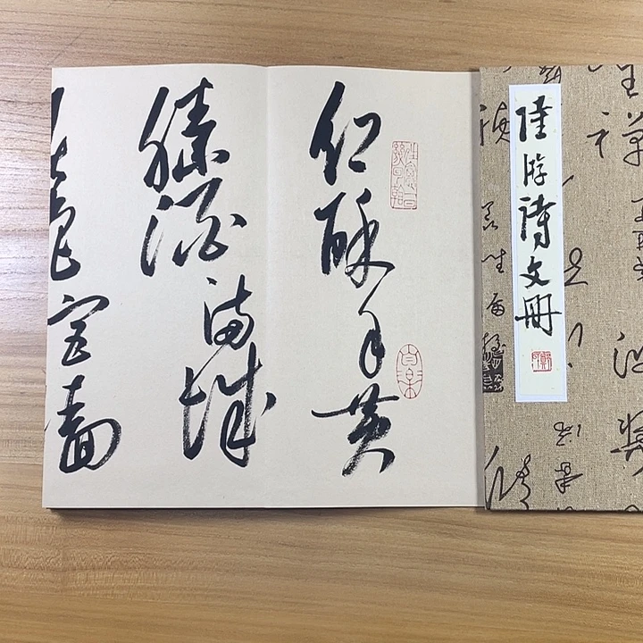 书法中书协会员作品