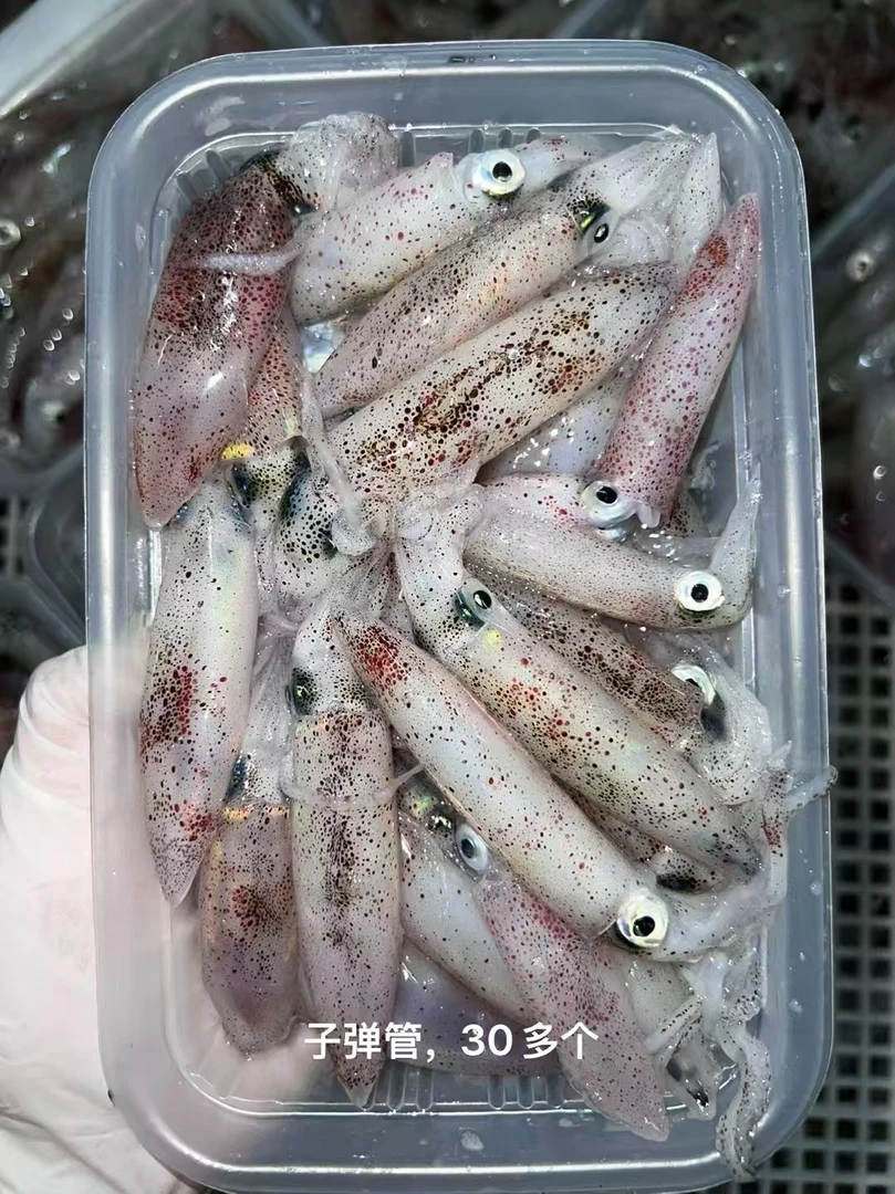 新鲜小管鱿鱼顺丰包邮