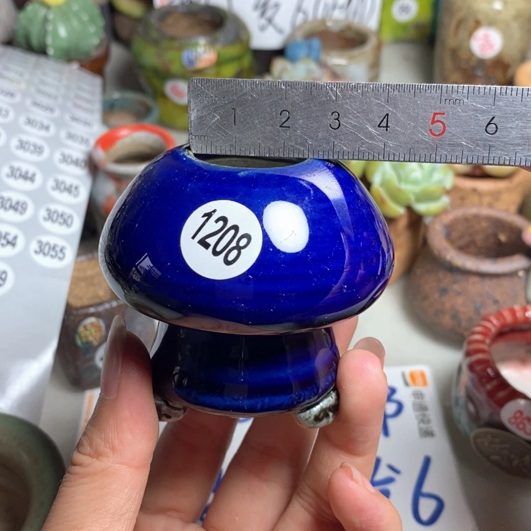 拍5送一个小礼物