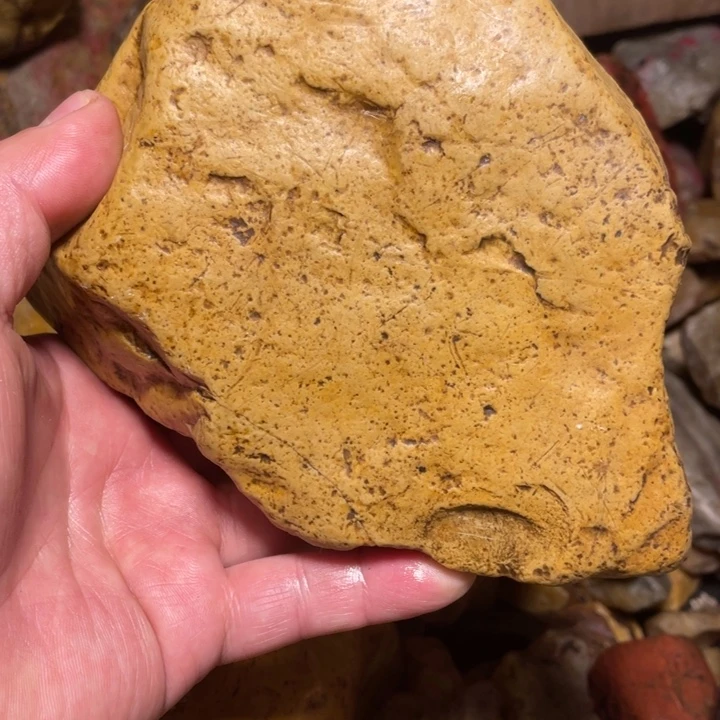 田黄石1291克昌化田黄石