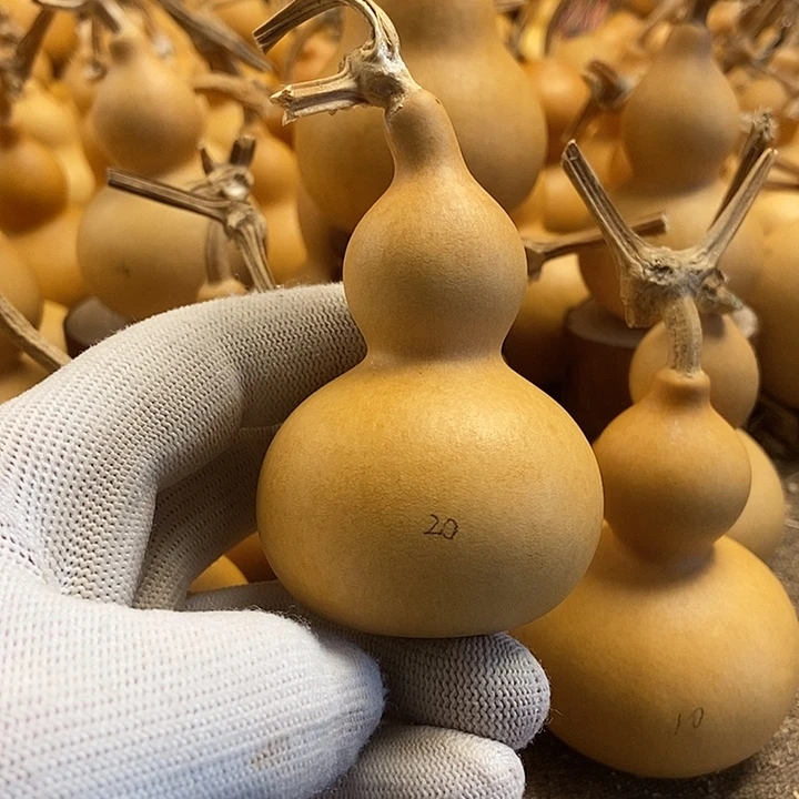 文玩葫芦 完美主义者 慎拍20