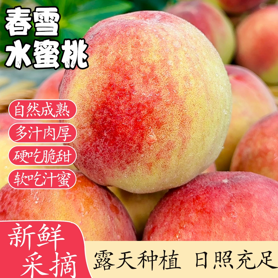 【李李家果园 】正宗水蜜桃脆软两吃应季水果产地直发坏果包赔