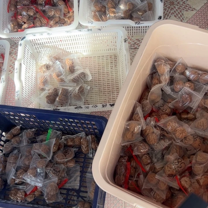 文玩核桃吊坠19.9新手大礼包