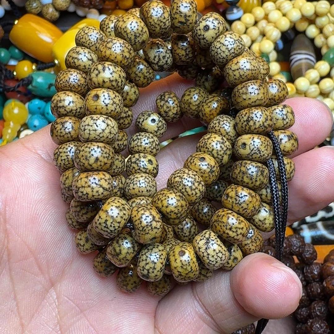 菩提籽类星月菩提