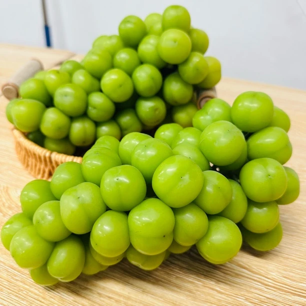 正宗阳光玫瑰葡萄新鲜应季鲜甜水果多汁/3-4串家庭装