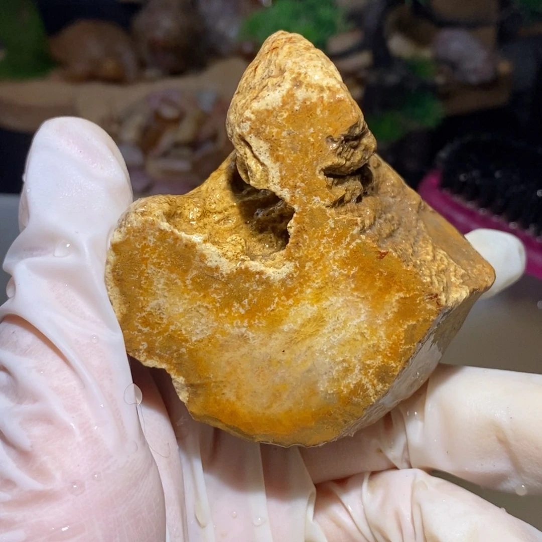【闪购商品】硅化玉颈饰未镶嵌