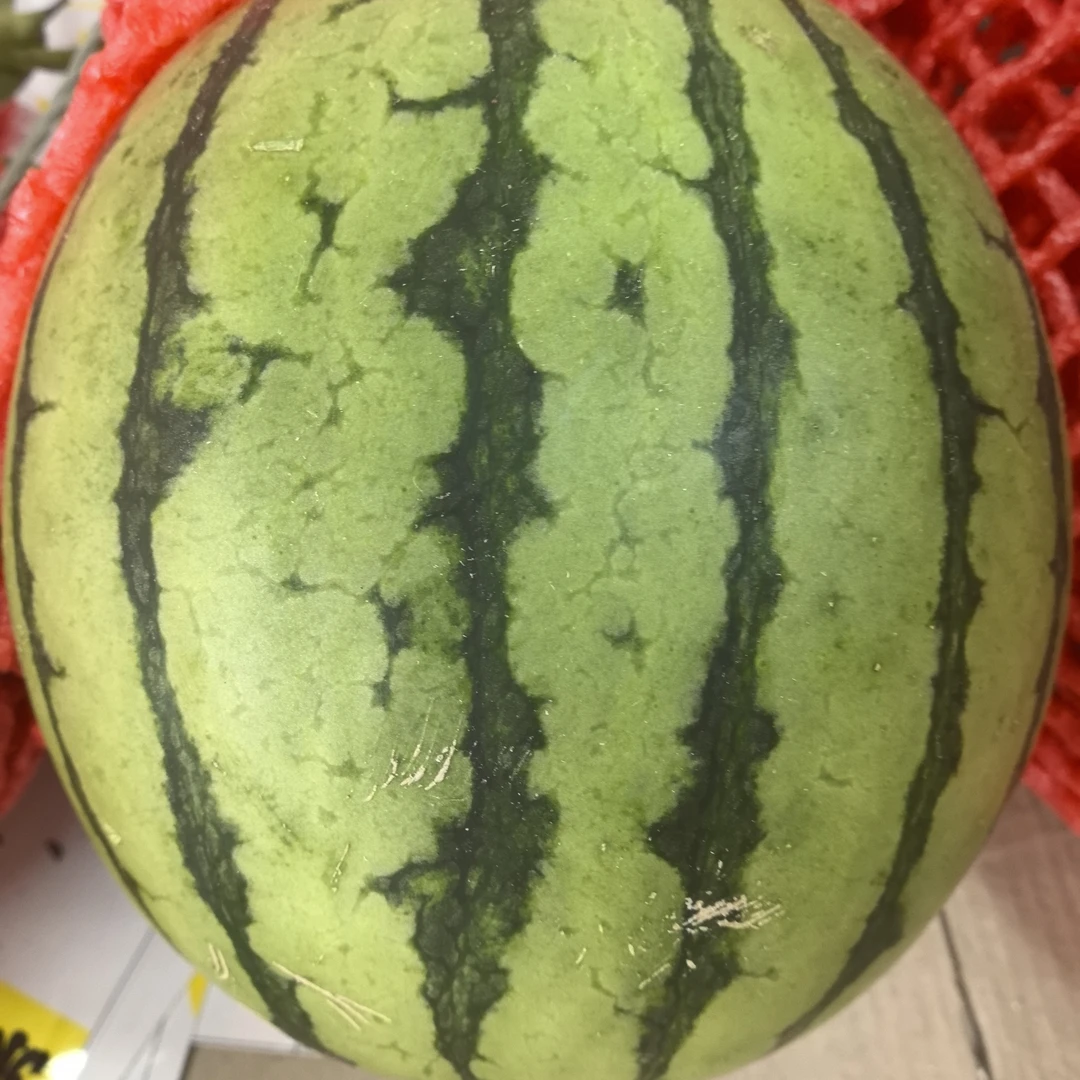 潍坊2k小糖丸西瓜一个二斤半左右山东省