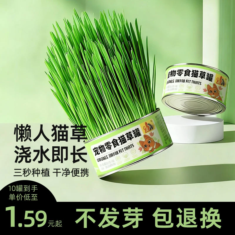 【懒人猫草】猫咪零食猫草罐头水培无土盆栽天然化毛排毛求小麦种子