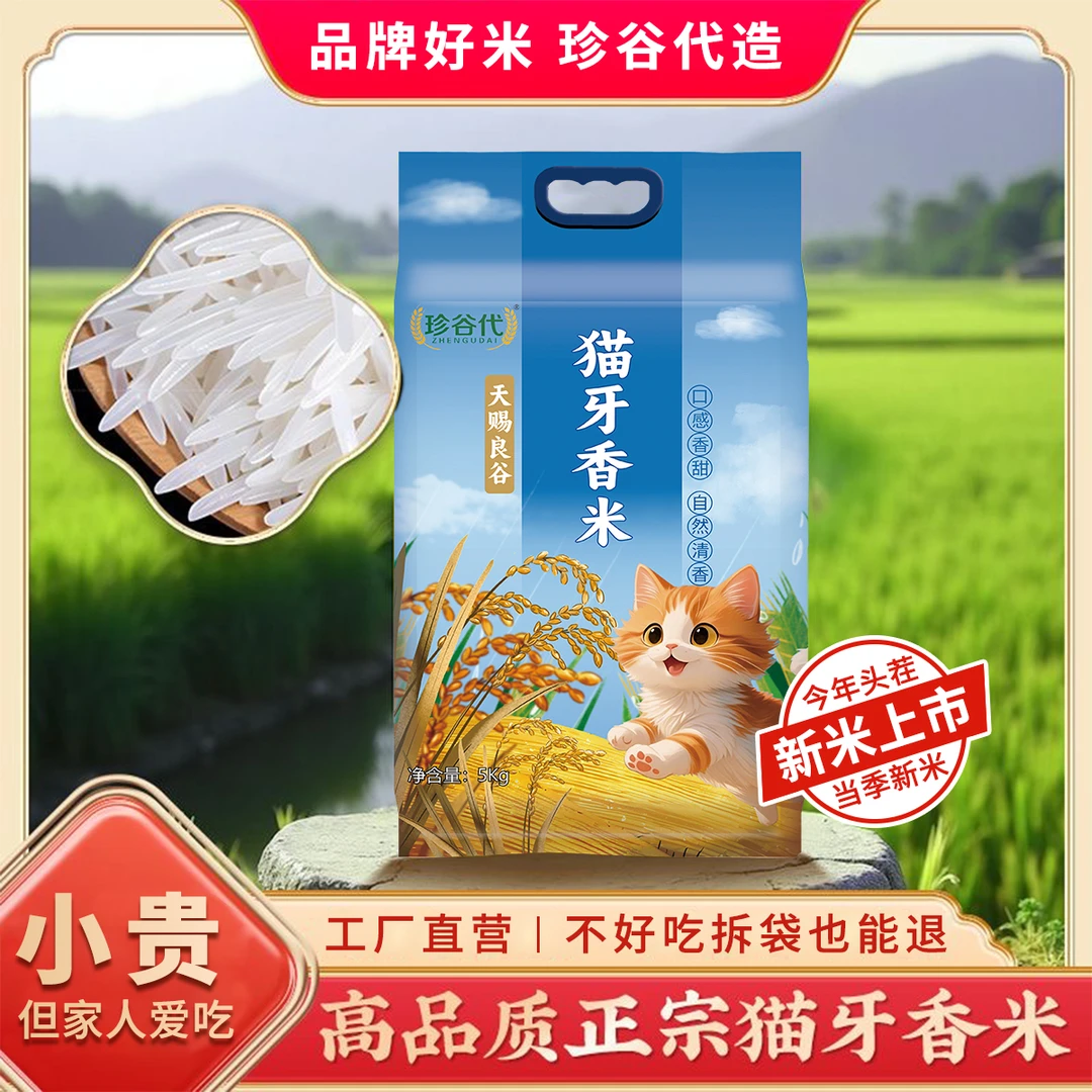 珍谷代【精选好米】颗粒分明 营养美味猫牙米长粒香米优质香米现磨