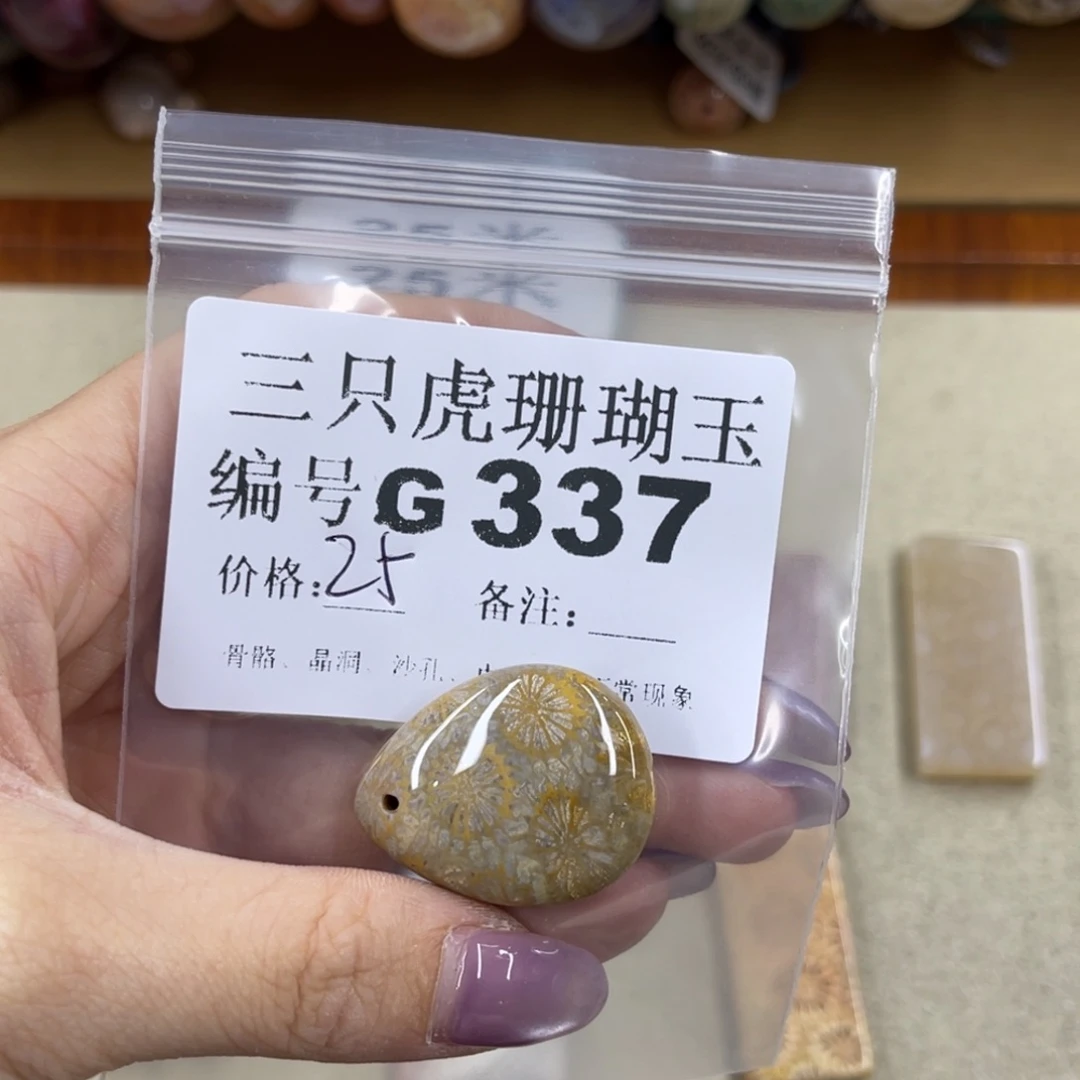T***y未镶嵌h硅化珊瑚（珊瑚玉）