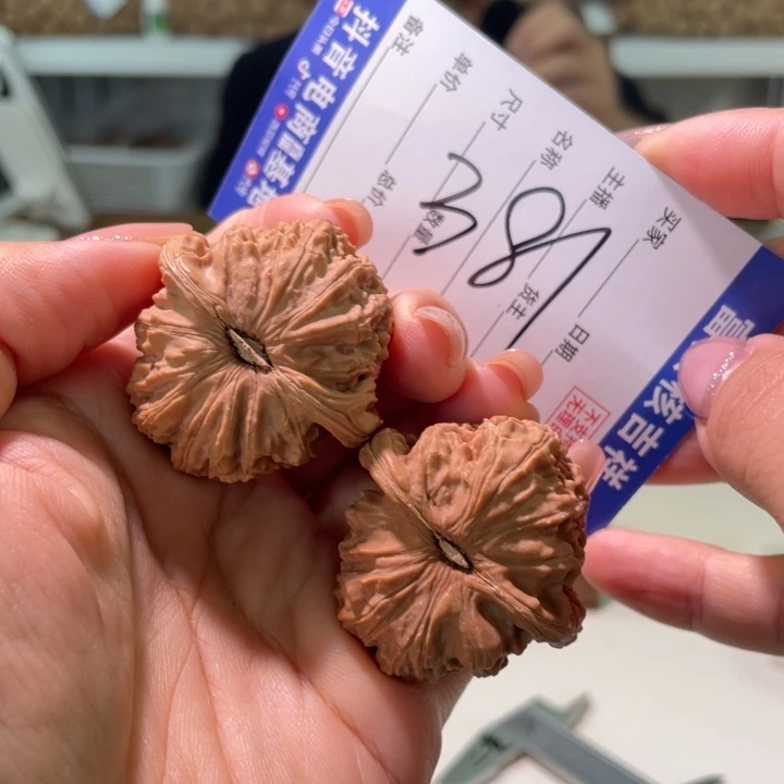 核桃把件38左右全品无修球白白狮子