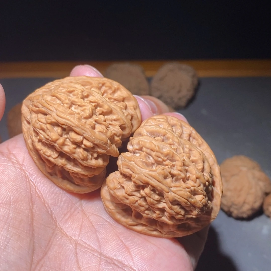 核桃42山西密纹全品