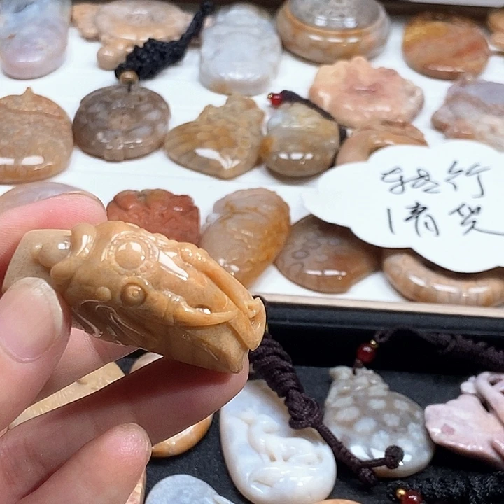 颈饰未镶嵌硅化珊瑚（珊瑚玉）