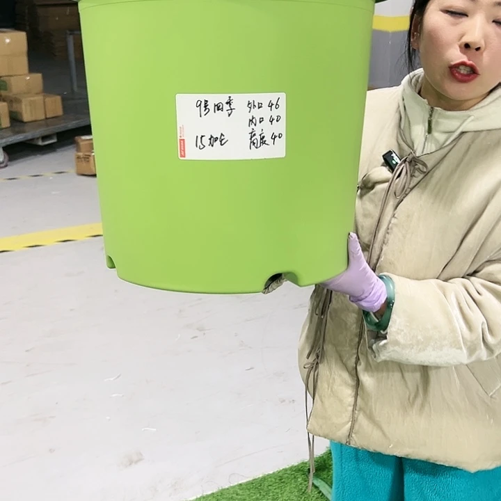 特价9号四季口46高40果绿4只无托
