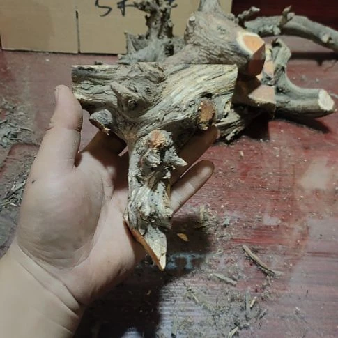 侯***室核桃木/黑胡桃（胡桃木）