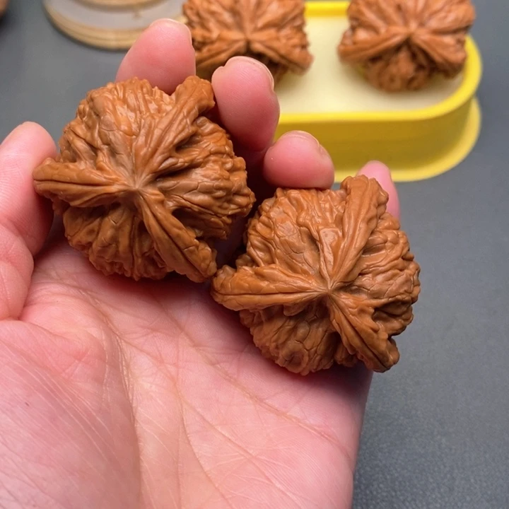 木质类T***a核桃核桃