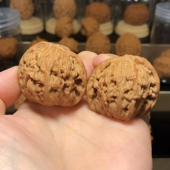 老树山地红皮歪磨38尺