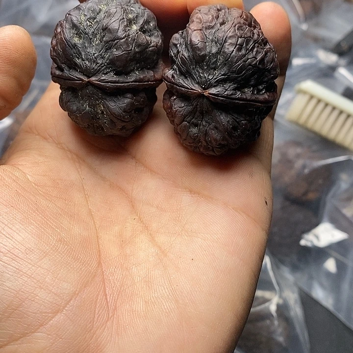 文玩核桃把件   84