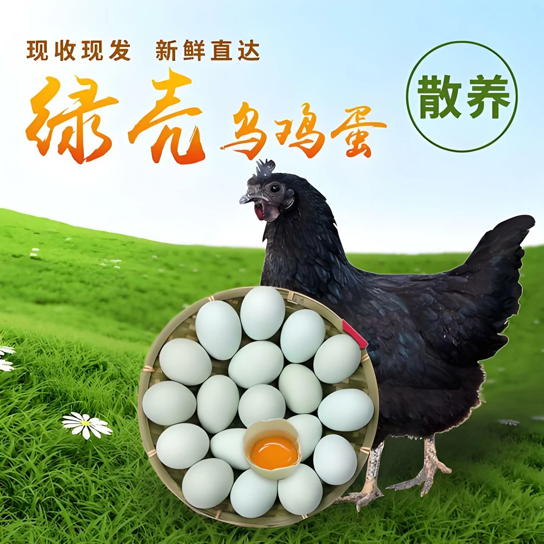 正宗绿壳乌鸡蛋林间散养现捡现发新鲜健康营养美味