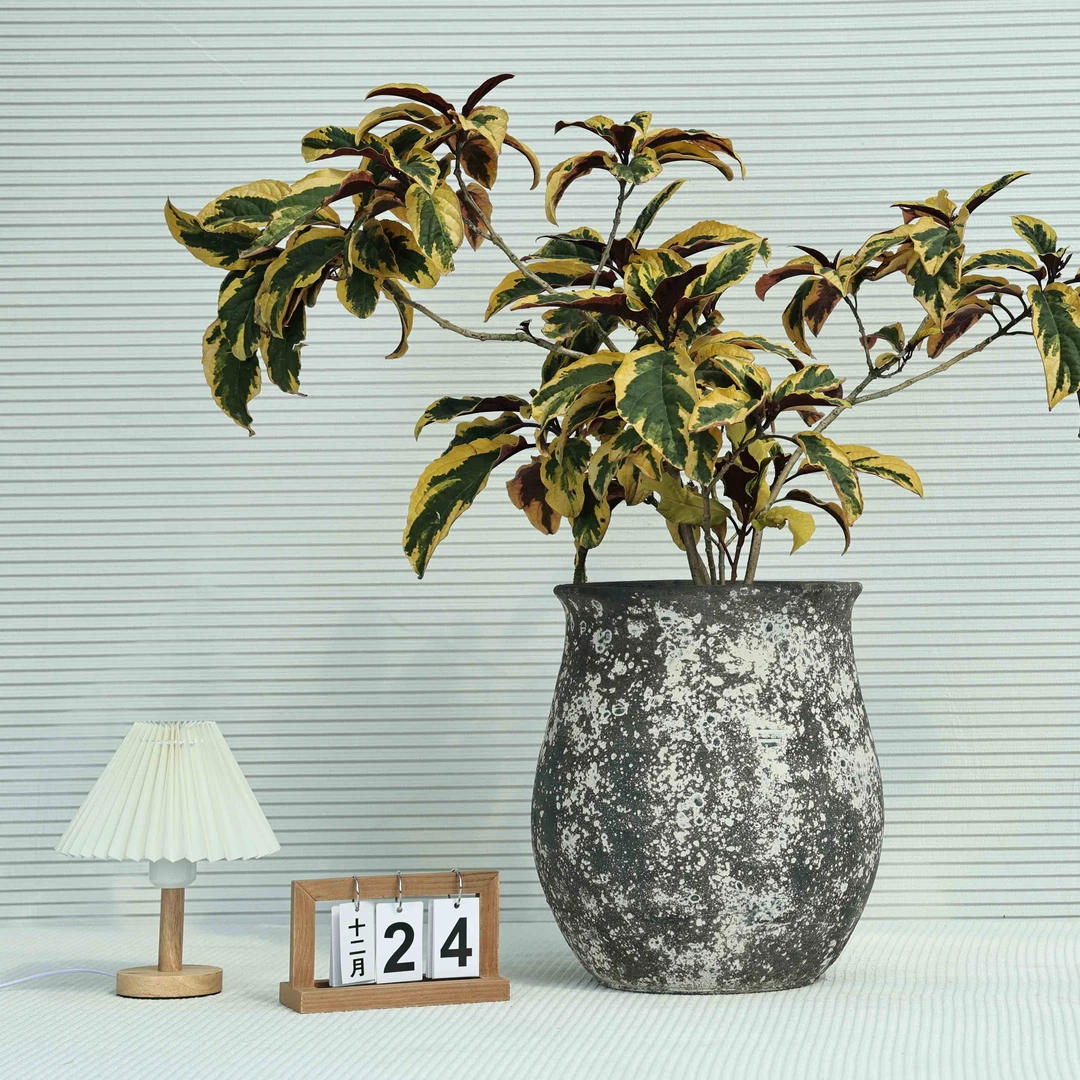 镁泥泥花盆侘寂风外贸盆简约风格室外室内绿植盆栽户外透气花盆