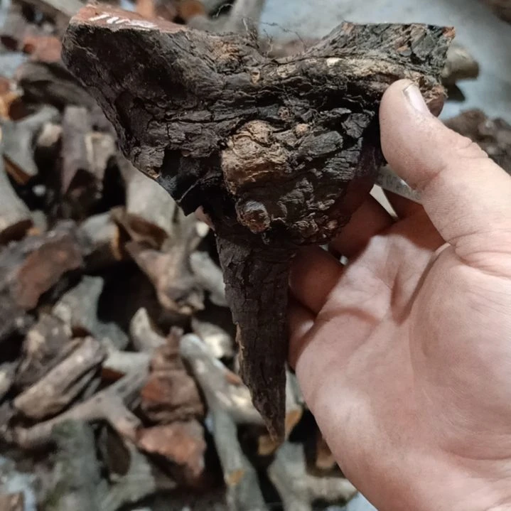 顺***大果紫檀（缅甸花梨）