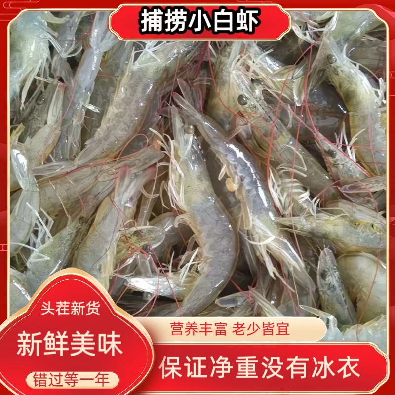 净重共6斤 小白虾新鲜海虾  嫌小勿拍