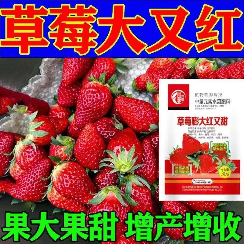 草莓专用肥草莓膨大剂增甜剂超甜防裂果催红上色剂草莓专用叶面肥