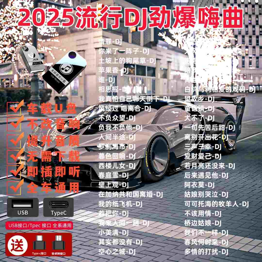 2025火爆经典歌曲DJ车载u盘热门流行中文DJ榜单无损音乐U盘MP3/4
