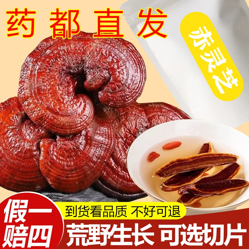 【真货】精选灵芝整个长白山灵芝干货赤灵芝切片泡水炖汤正品