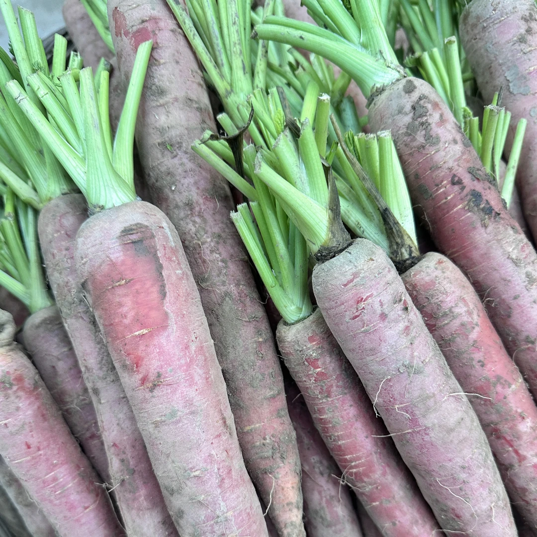 红萝卜新鲜脆甜带土现挖胡萝卜农家产地直发蔬菜