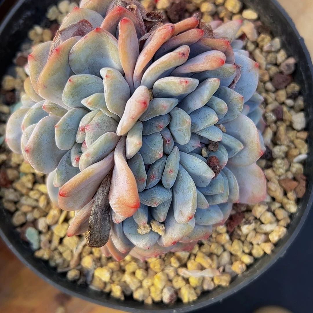 @****～aaaaaaaaaaaa11