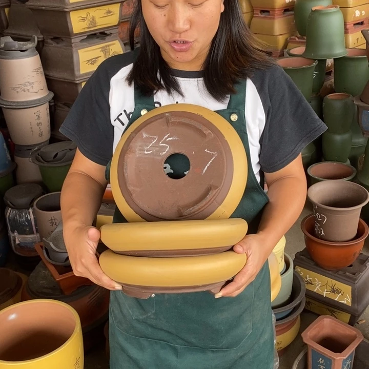 紫砂花盆盆栽花卉苗木种植