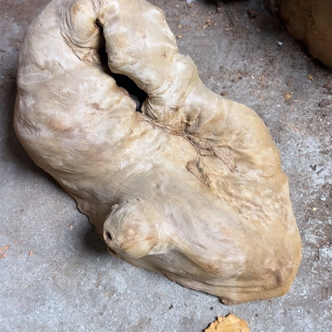 荔枝木魔****使荔枝木毛料加挖工费88
