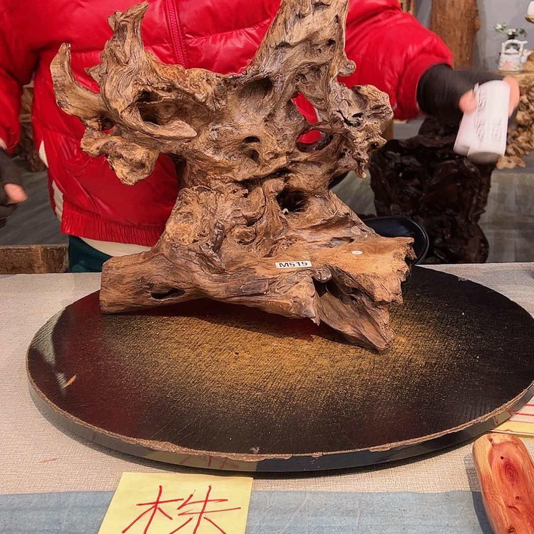 木枫****》515 jbjbjvhbhbbbb